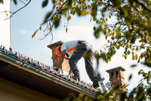 Best Shingle Roofing Installation  in Silver Spring, MD